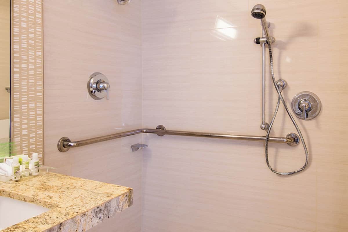 Standard Room, 1 King Bed, Roll-in Shower (Communications Accessible)