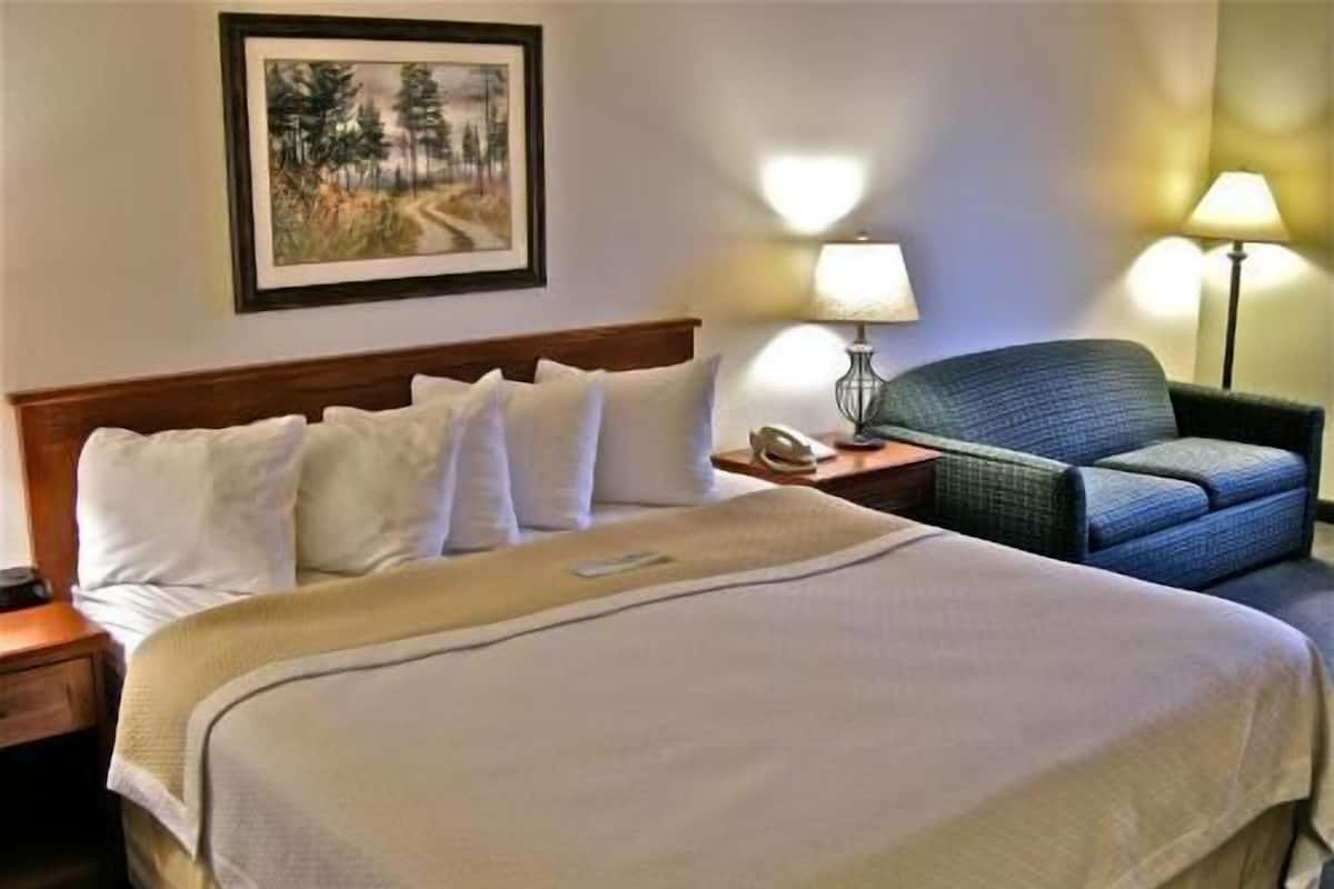A hotel room with a large bed, a chair, a nightstand with a lamp, and a painting on the wall.