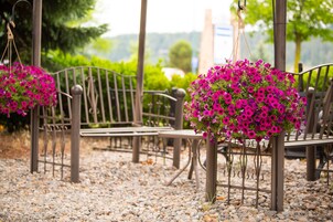 Un jardín con bancos y cestas de flores colgantes.