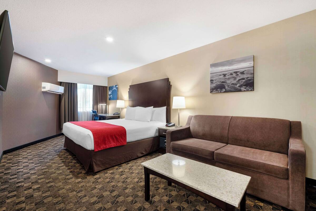 Standard Room, 1 King Bed with Sofa bed, Non Smoking, Kitchenette (with Sofabed)