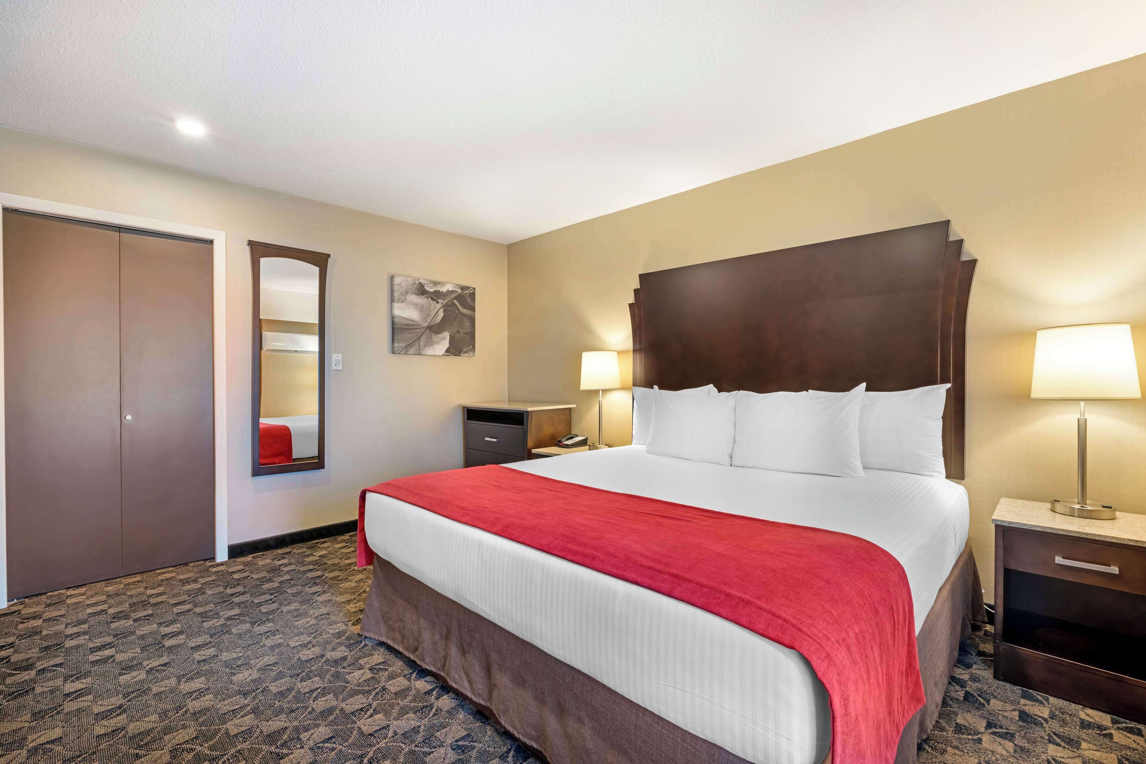 Une chambre d’hôtel avec un grand lit, une commode, une table de chevet avec une lampe, un miroir et une porte.