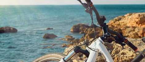 A bicycle leaning against rocks by the sea with a clear view of the ocean and birds in the sky.