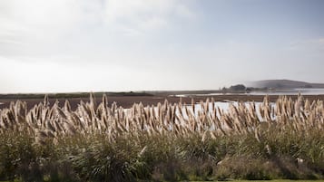 Un paisaje con pastos altos al primer plano y una masa de agua en el fondo.