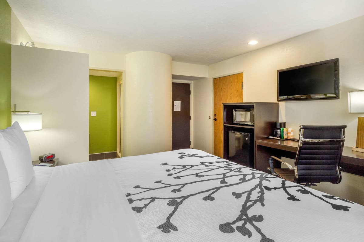 A hotel room with a bed, a desk, a chair, a TV, and a microwave.
