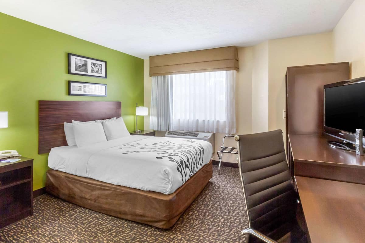 A hotel room with a large bed, a desk with a television, and a chair. There are two framed pictures on the wall, a window with curtains, and a carpeted floor.