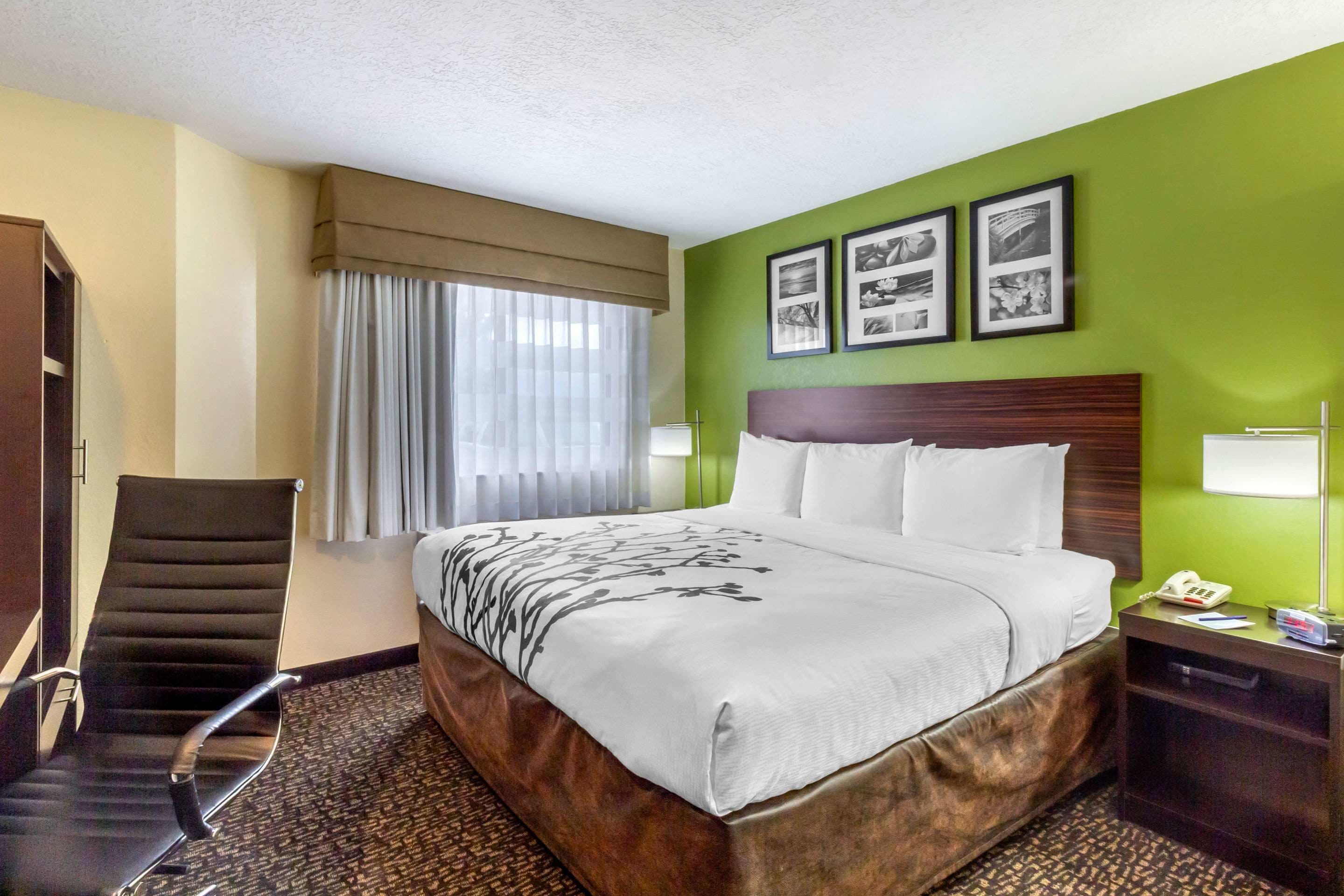 Escritorio, cortinas blackout, tabla de planchar con plancha y cunas 