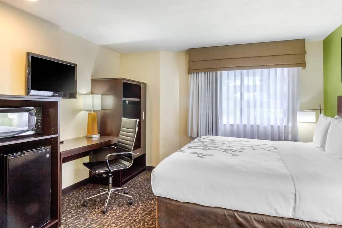 A hotel room with a bed, desk, chair, television, and microwave.