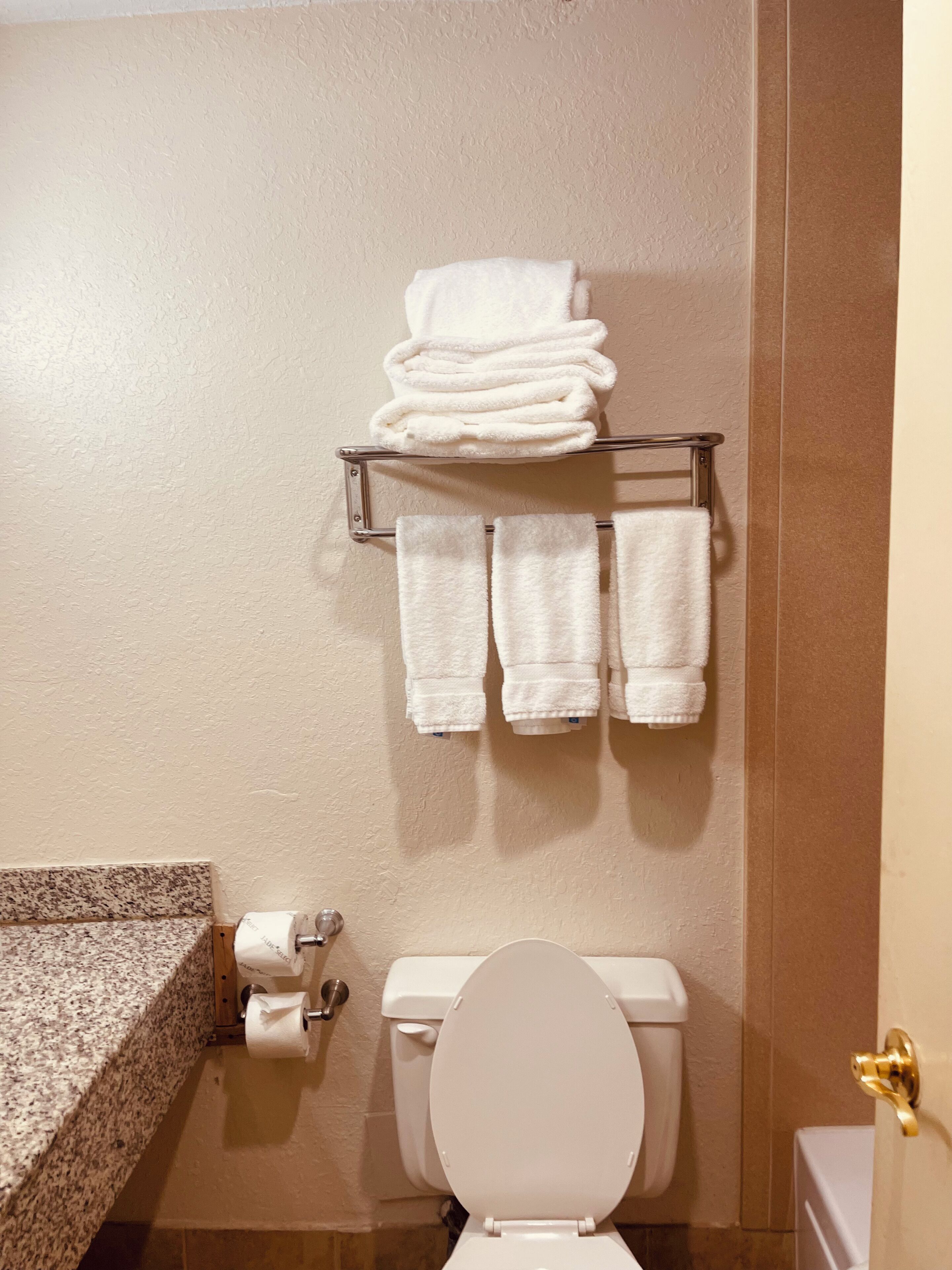 A bathroom with a toilet, a towel rack with towels, a toilet paper holder, and a granite countertop.