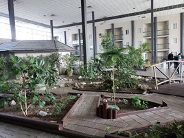 舒适客房, 池畔 (Coast Two Queens, Pool Side) | 客房景观