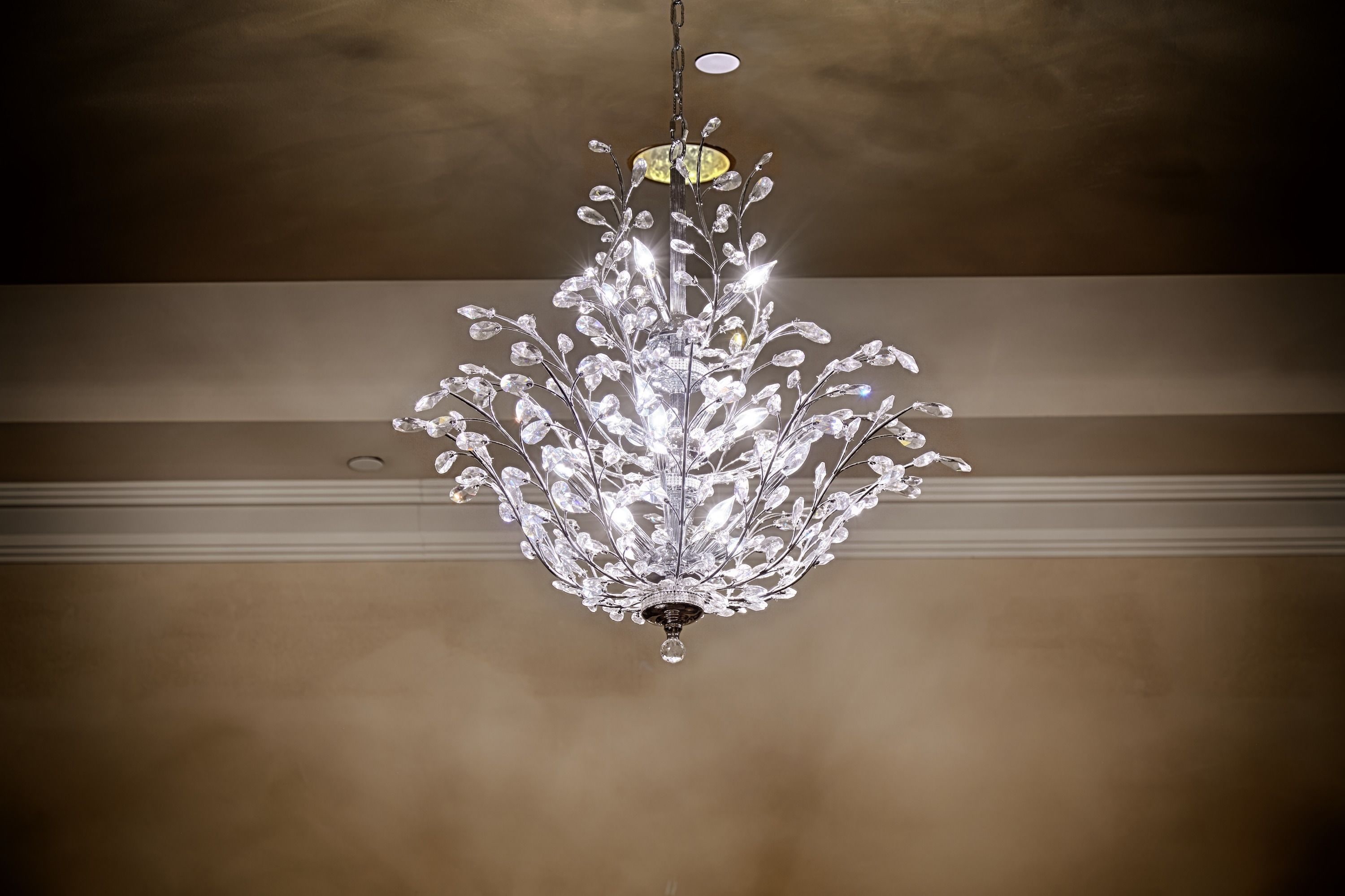 Photo - DoubleTree by Hilton Orlando Downtown