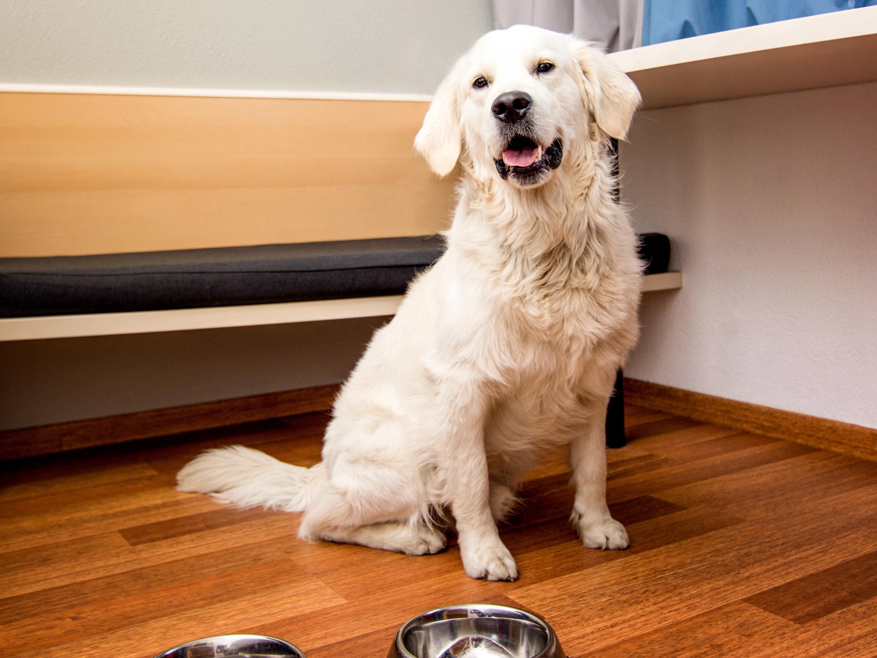 Foto - Fora Hotel Hannover by Mercure