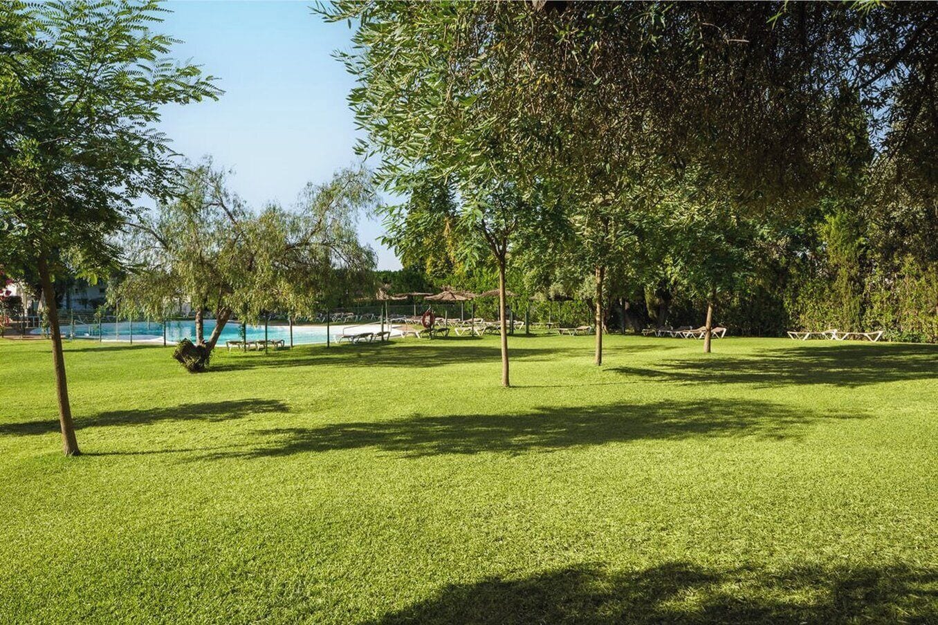 Un espacio cubierto de césped con árboles y una piscina al fondo.