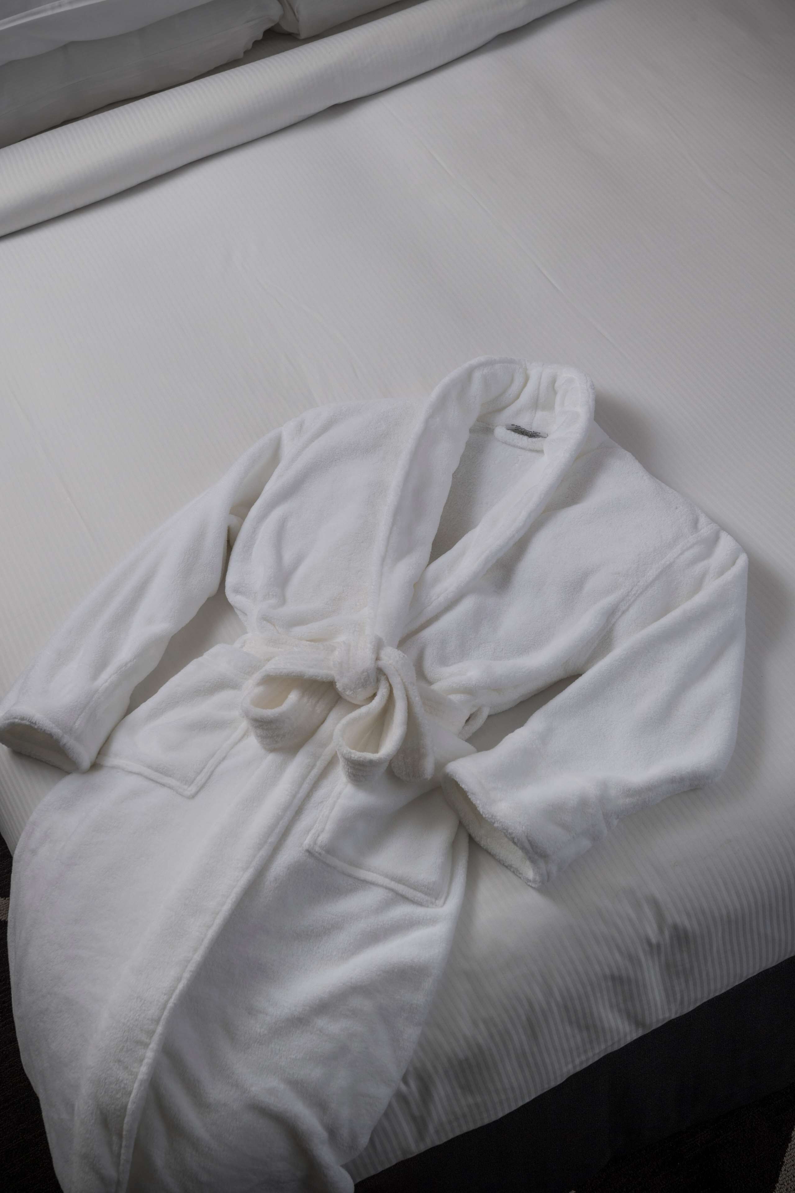 junior suite, 1 king bed | living area | 55-inch lcd tv with satellite channels, tv