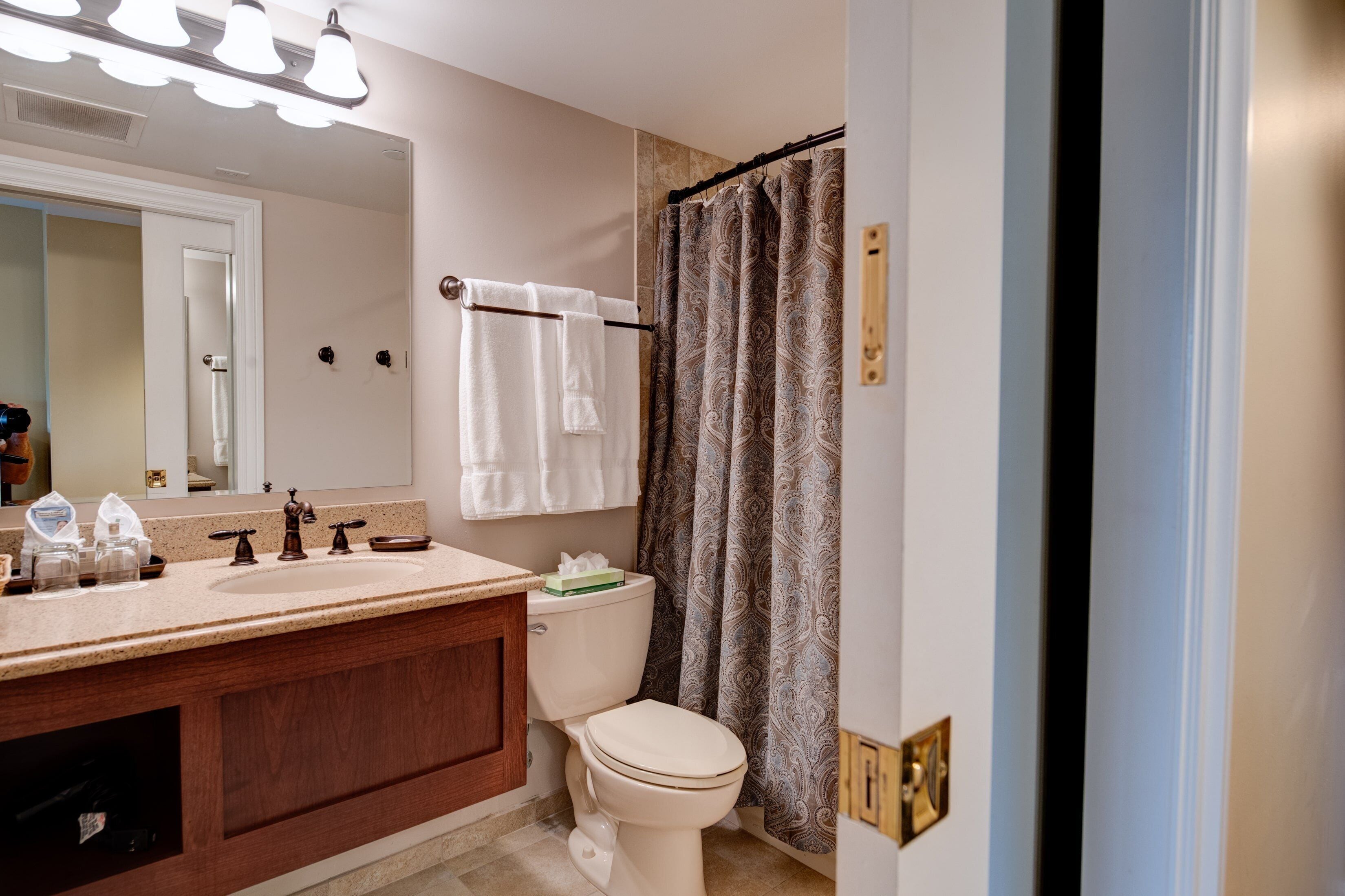 combined shower/bathtub, free toiletries, hair dryer, towels