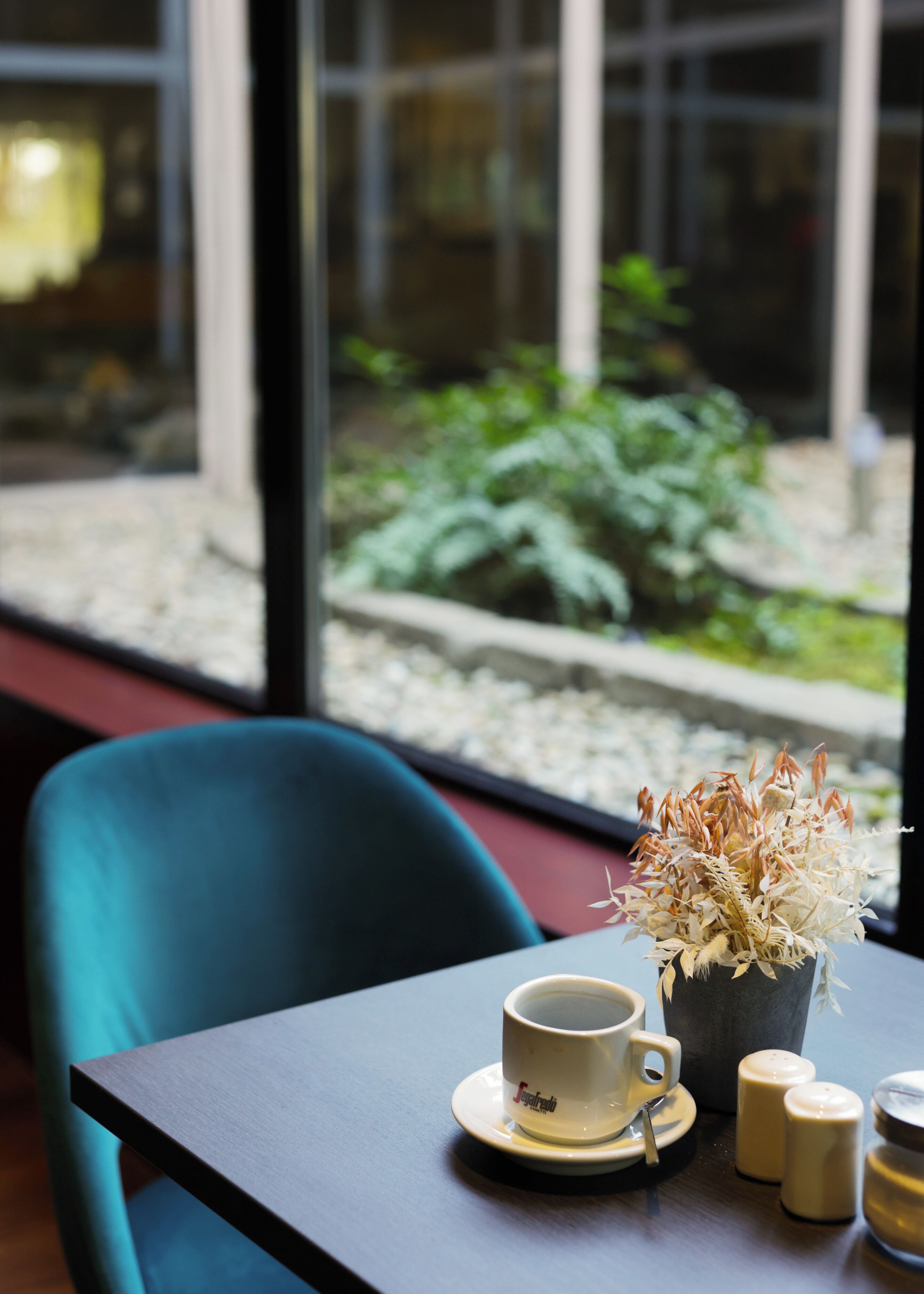A table with a cup and saucer, a small potted plant, and salt shakers.