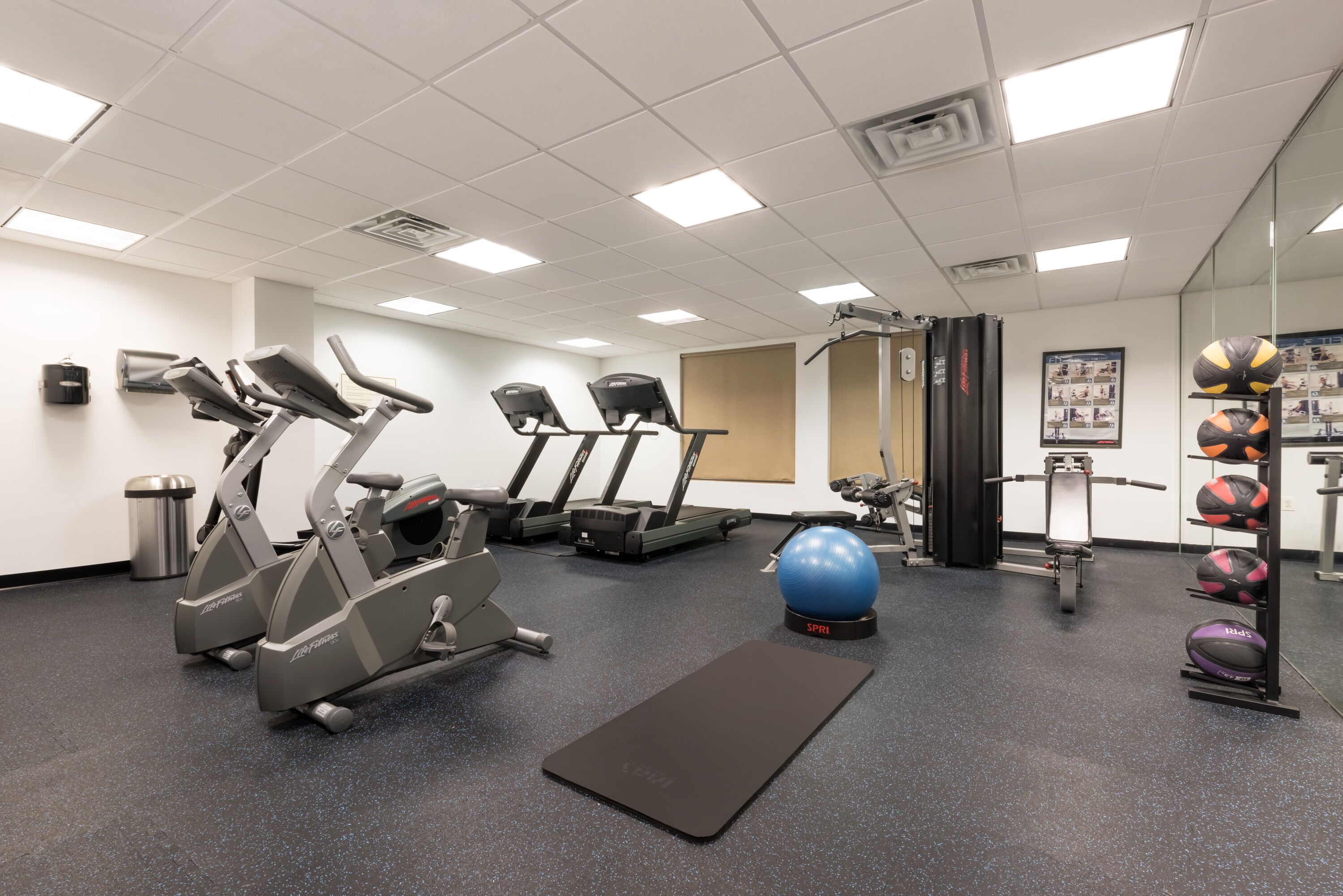 A gym with treadmills, elliptical machines, a stationary bike, a blue exercise ball, and a rack of sports balls.