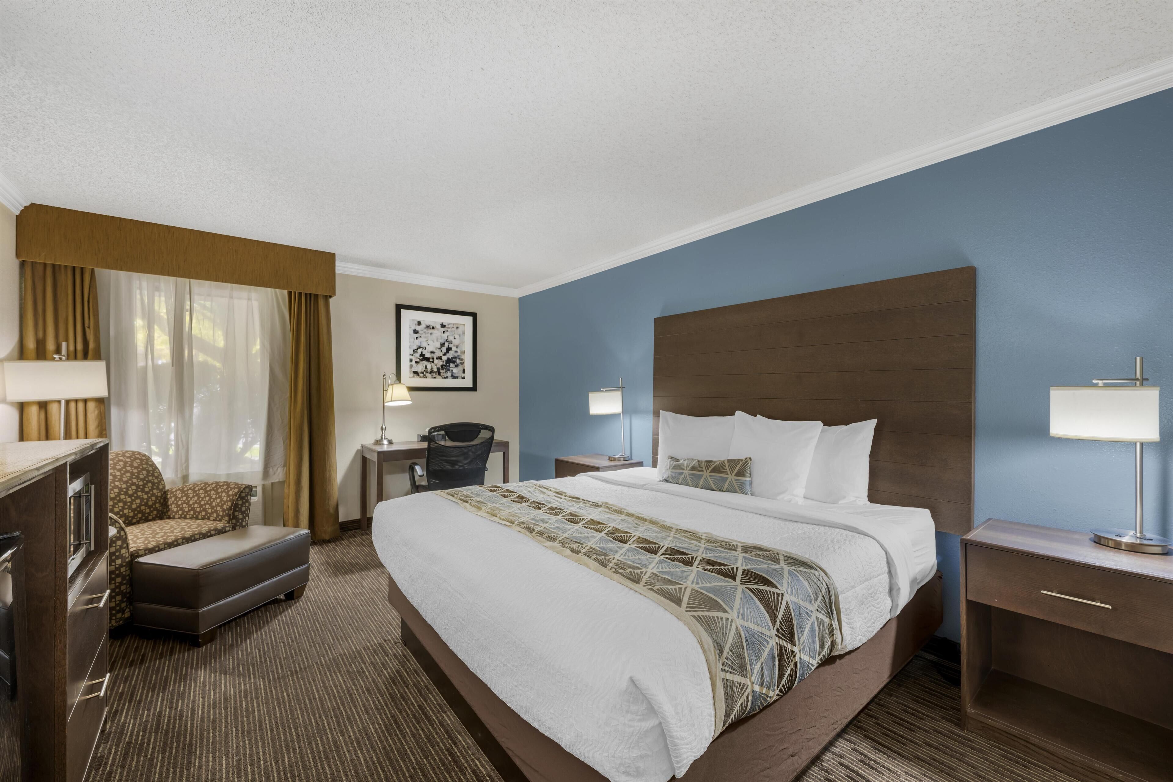 Standard Room, 1 King Bed, Accessible, Bathtub | Pillowtop beds, desk, laptop workspace, blackout drapes