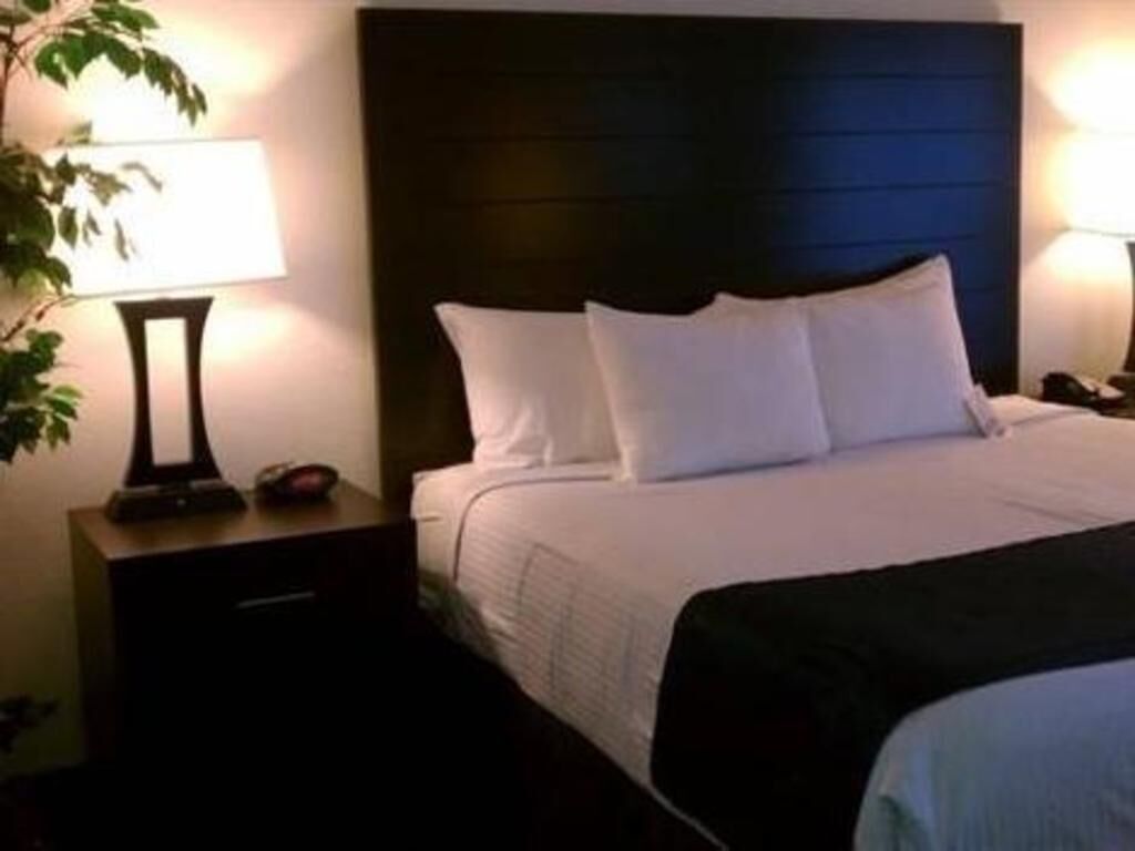 Pillow-top beds, individually decorated, individually furnished, desk