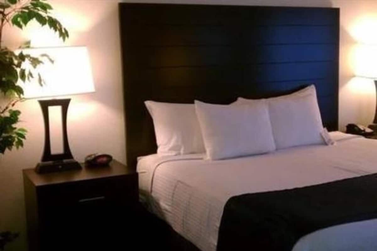 Pillow-top beds, individually decorated, individually furnished, desk