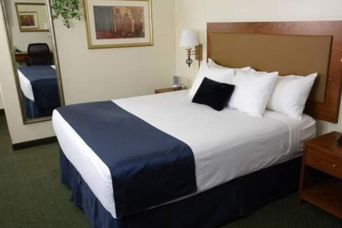 Pillow-top beds, individually decorated, individually furnished, desk