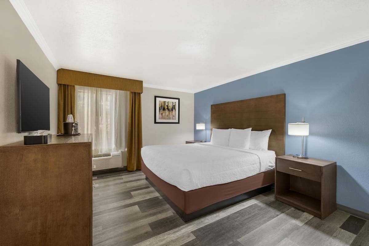 Een hotelkamer met een groot bed, een nachtkastje met een lamp, een flatscreen televisie en een raam met gordijnen.