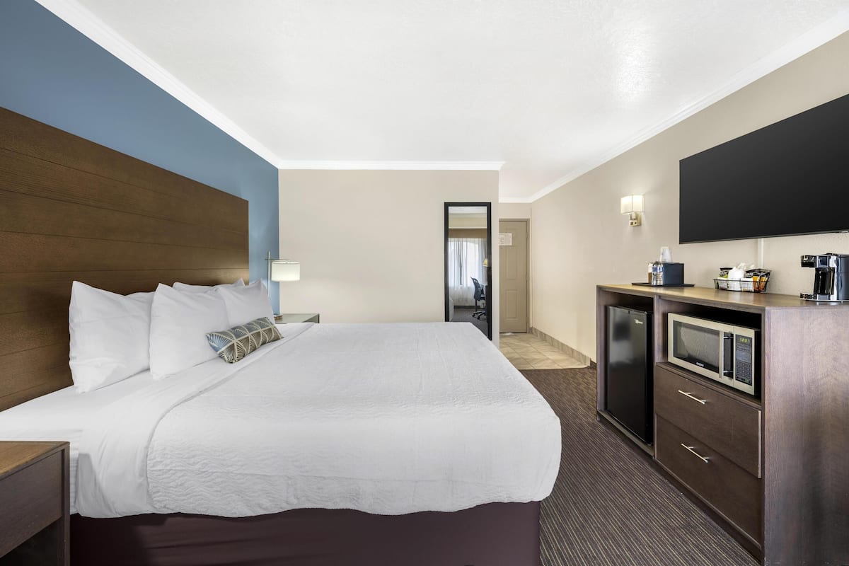 Een hotelkamer met een groot bed, een televisie, een magnetron en een minibar.
