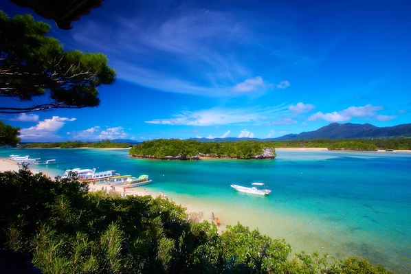 Una playa tropical con barcos, agua turquesa cristalina y exuberante vegetación.