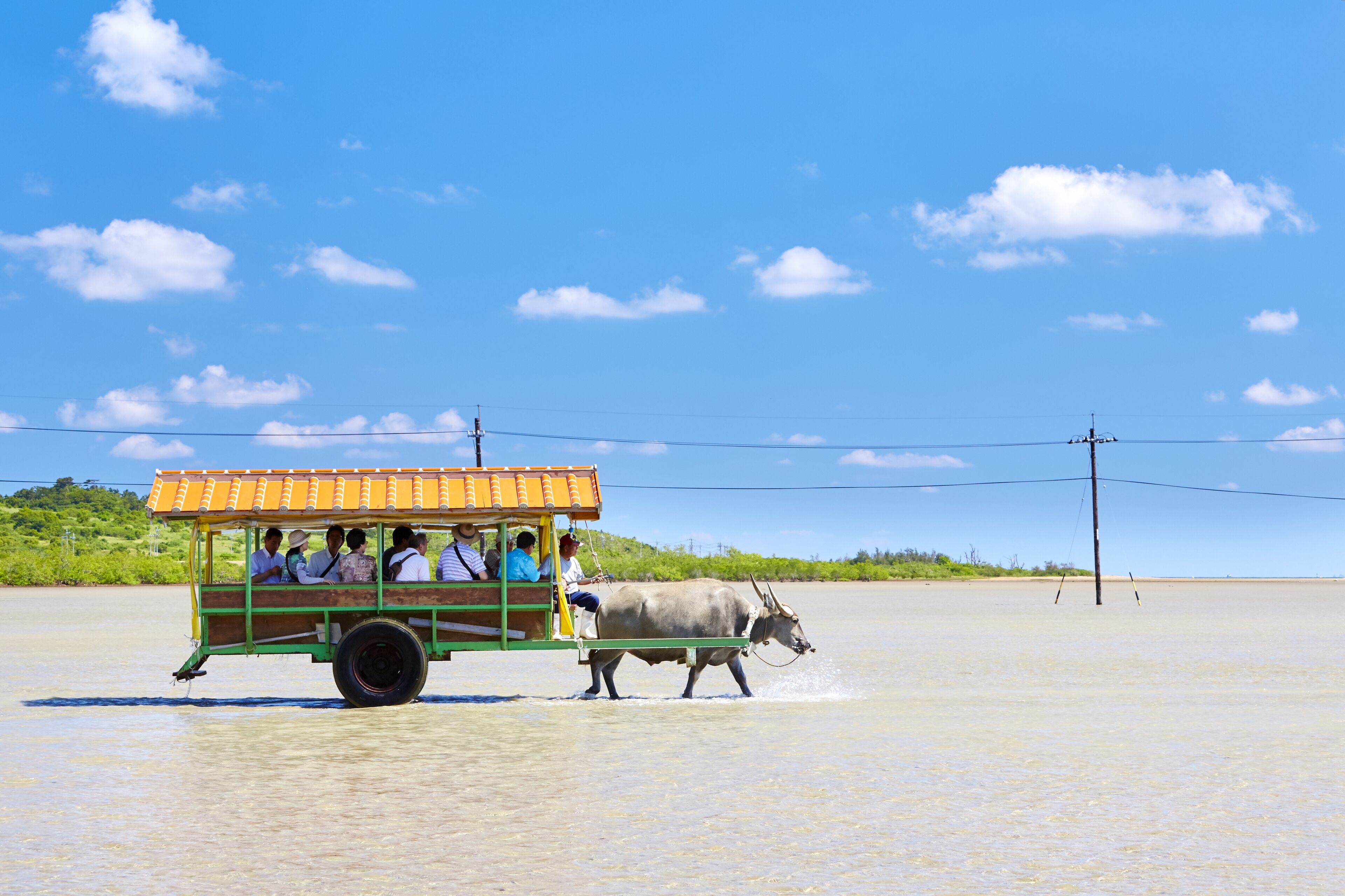 Um barco verde e laranja com passageiros e um búfalo d'água em águas rasas.
