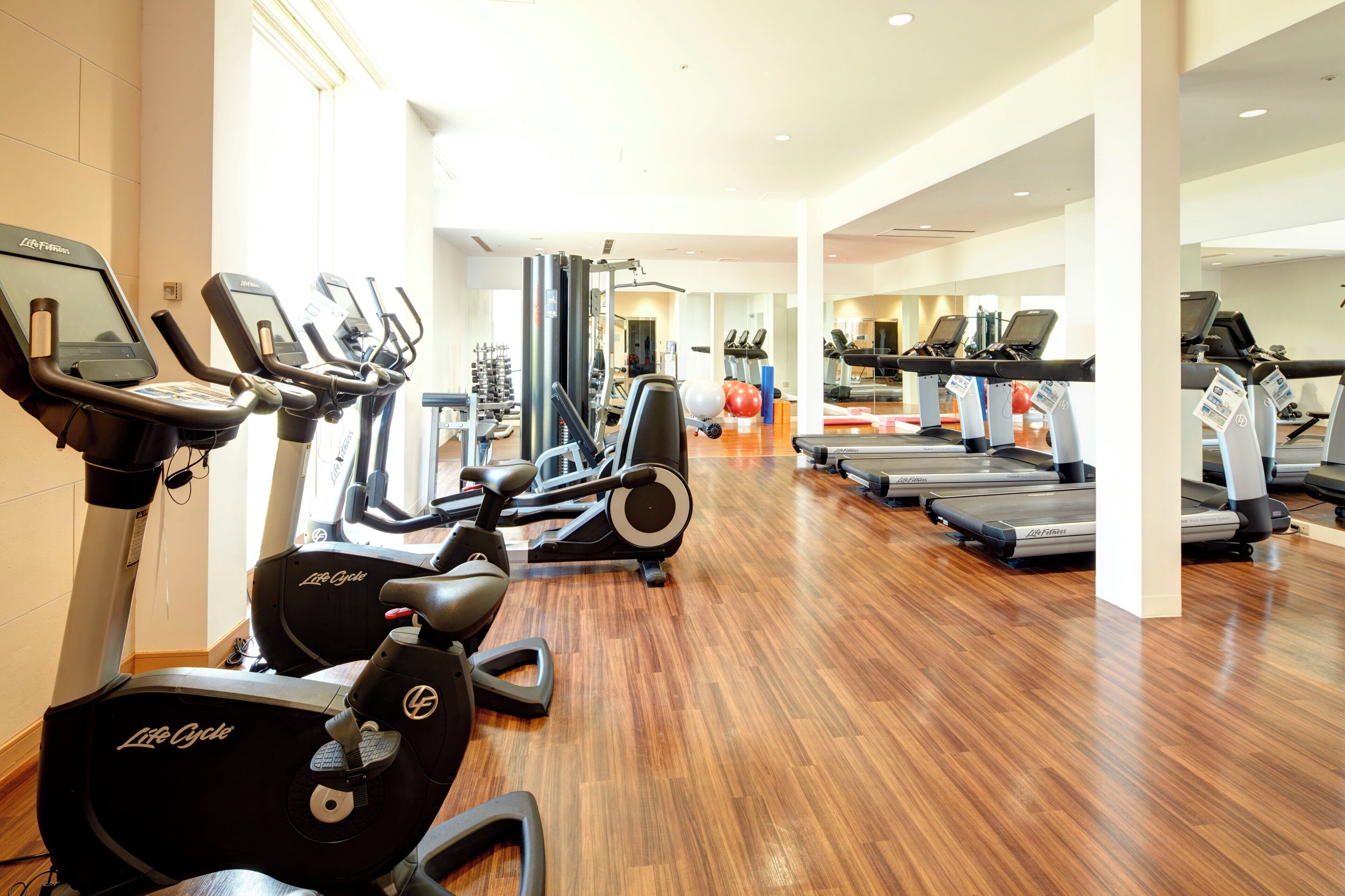 Un gimnasio con diversas máquinas de cardio, estaciones de pesas y un espejo grande.