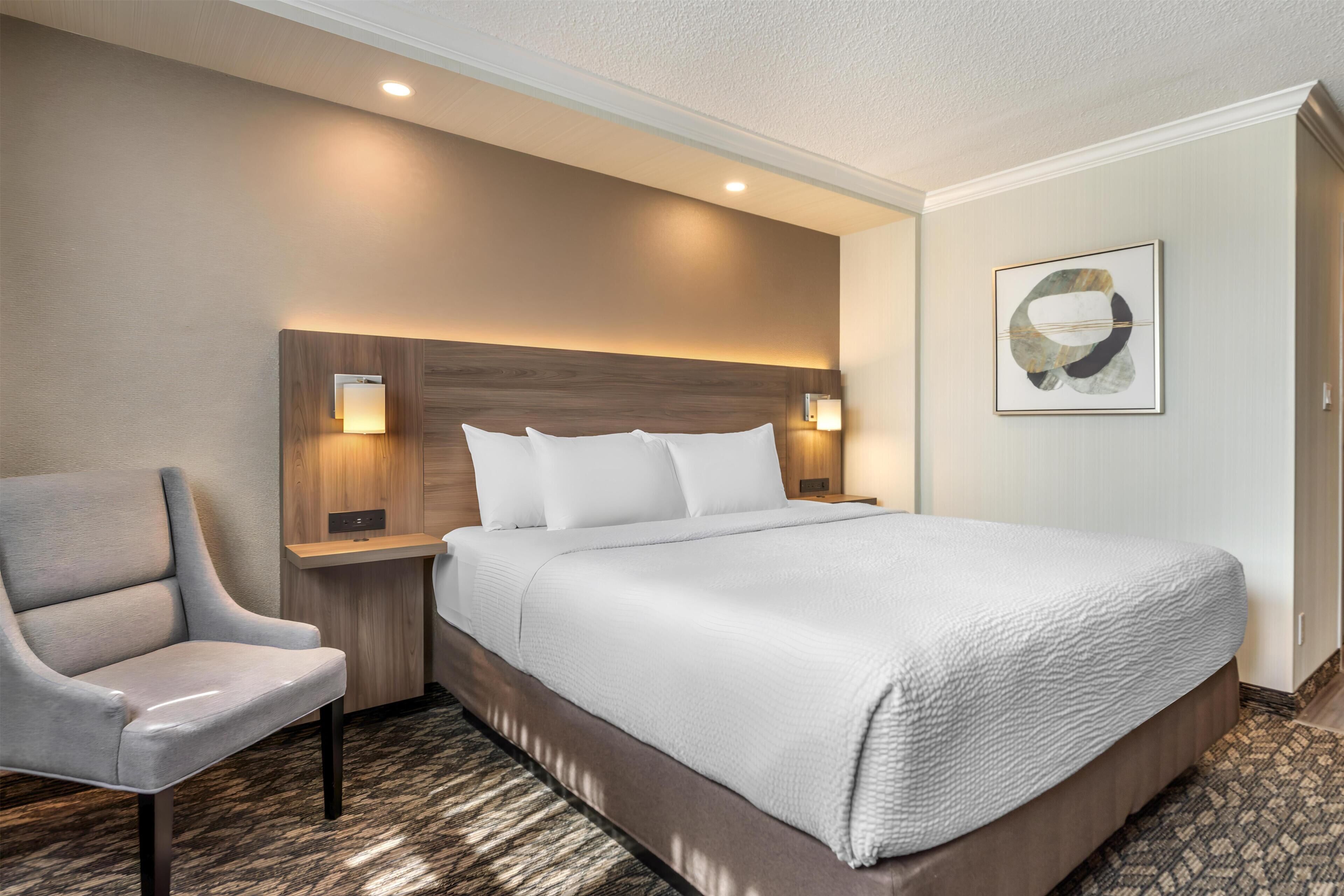 Habitación estándar, 1 cama King size, para no fumadores | Caja de seguridad en la habitación y escritorio 