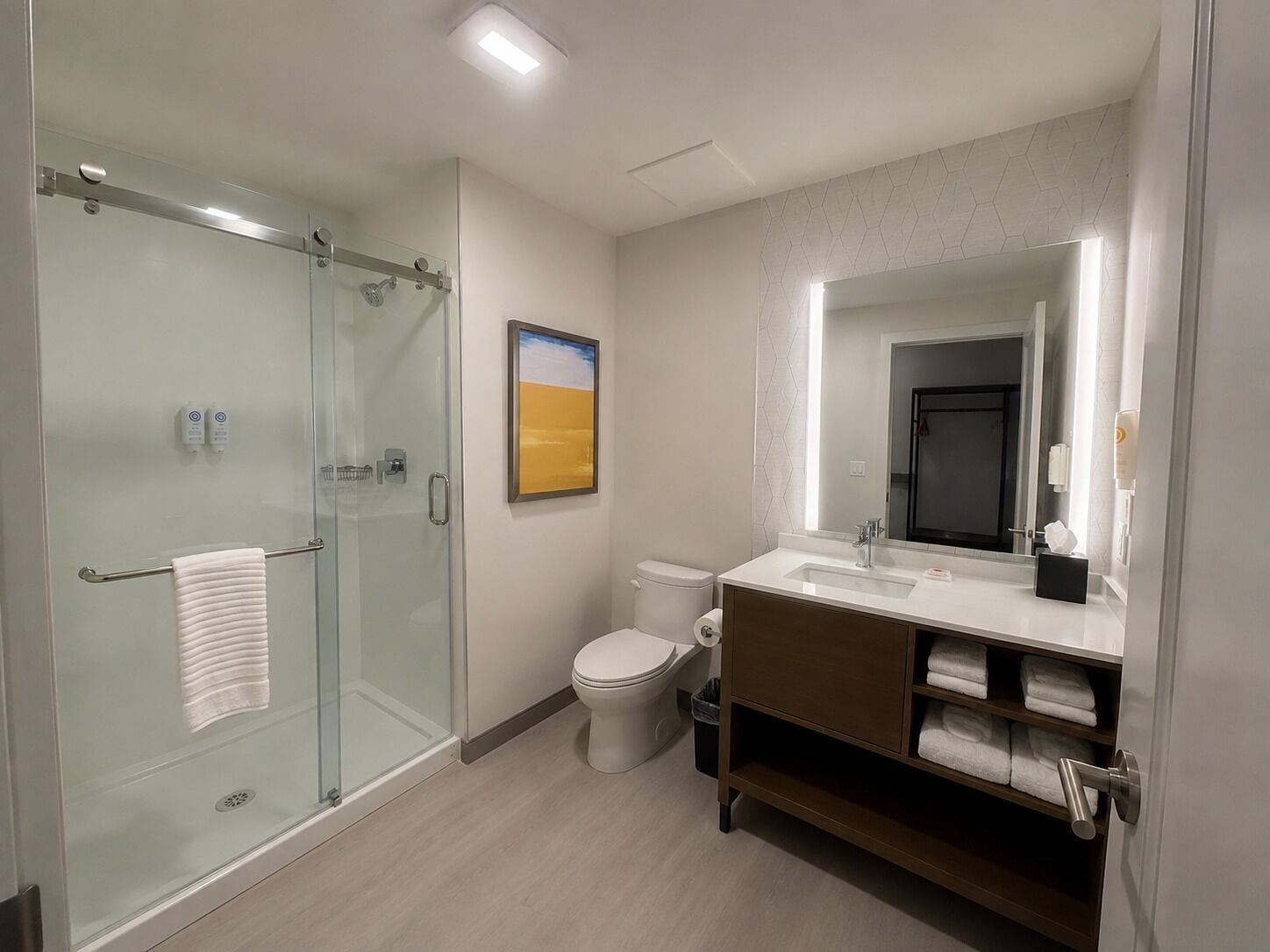 A modern bathroom with a glass-enclosed shower, a toilet, and a vanity with a mirror.