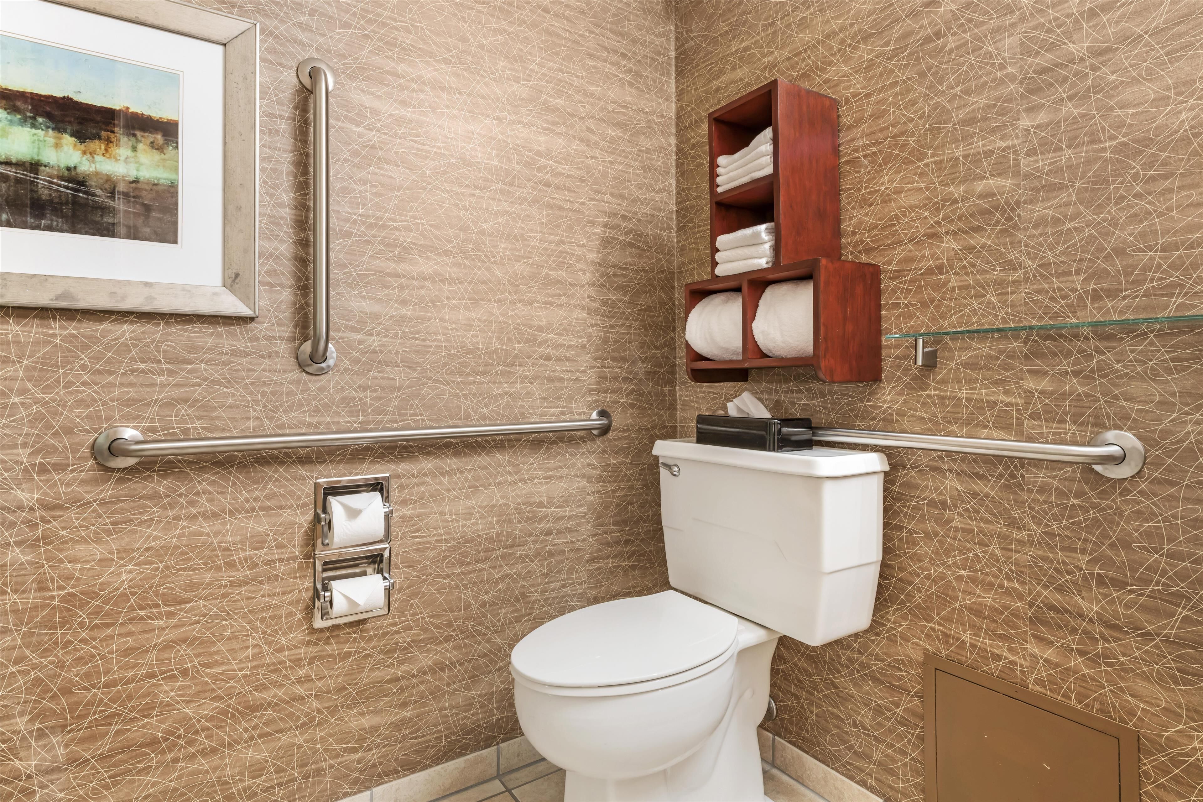 A bathroom with a white toilet, a handrail, a towel rack, and a framed picture on the wall.
