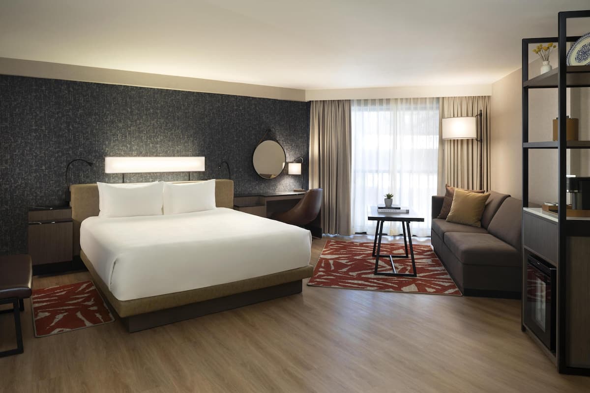 Habitación de hotel con cama, escritorio, silla, sofá, televisor, espejo y estantería.