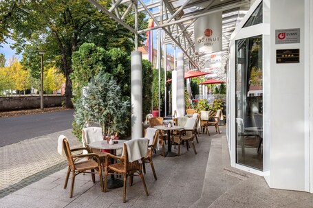 Terraza