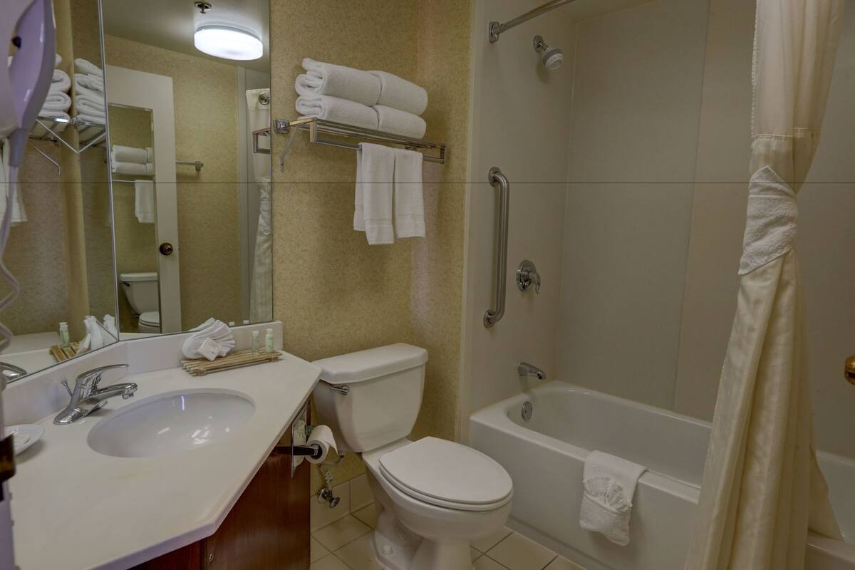 Een badkamer met een wastafel, toilet, badkuip en douche.