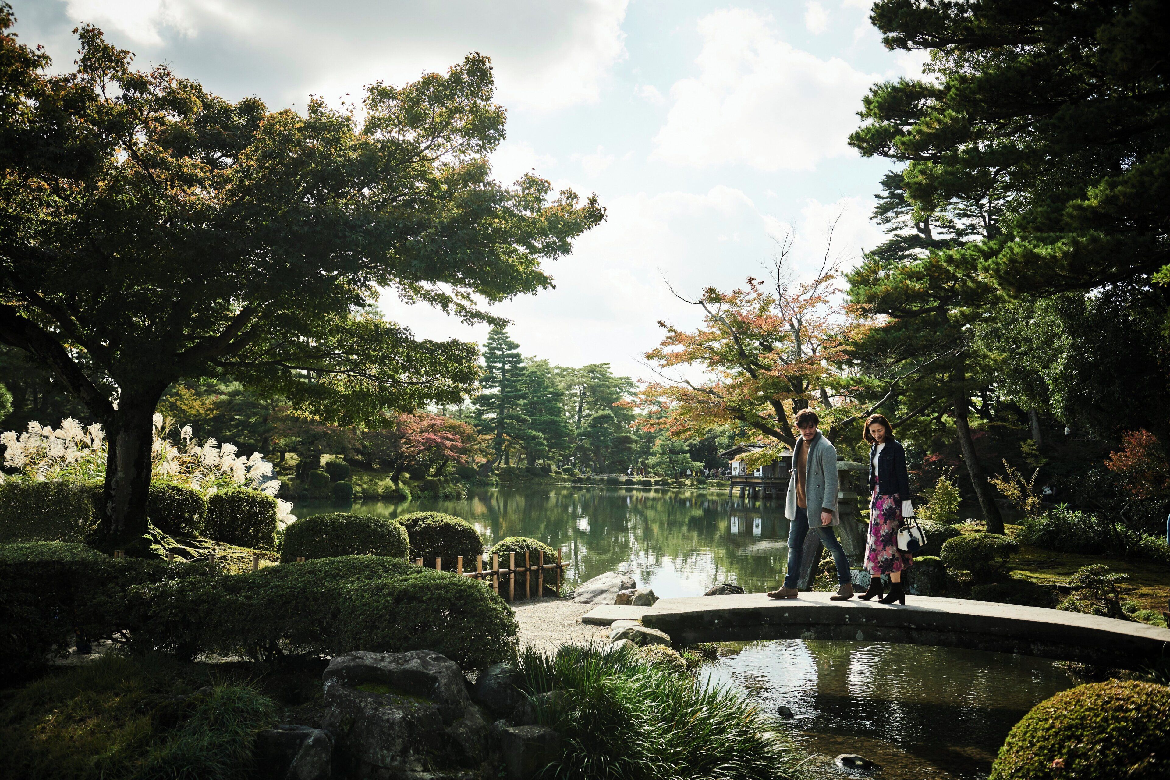 A serene garden with a pond, walking paths, and neatly trimmed bushes.