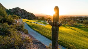 A cactus in a landscaped area with a road and distant buildings.