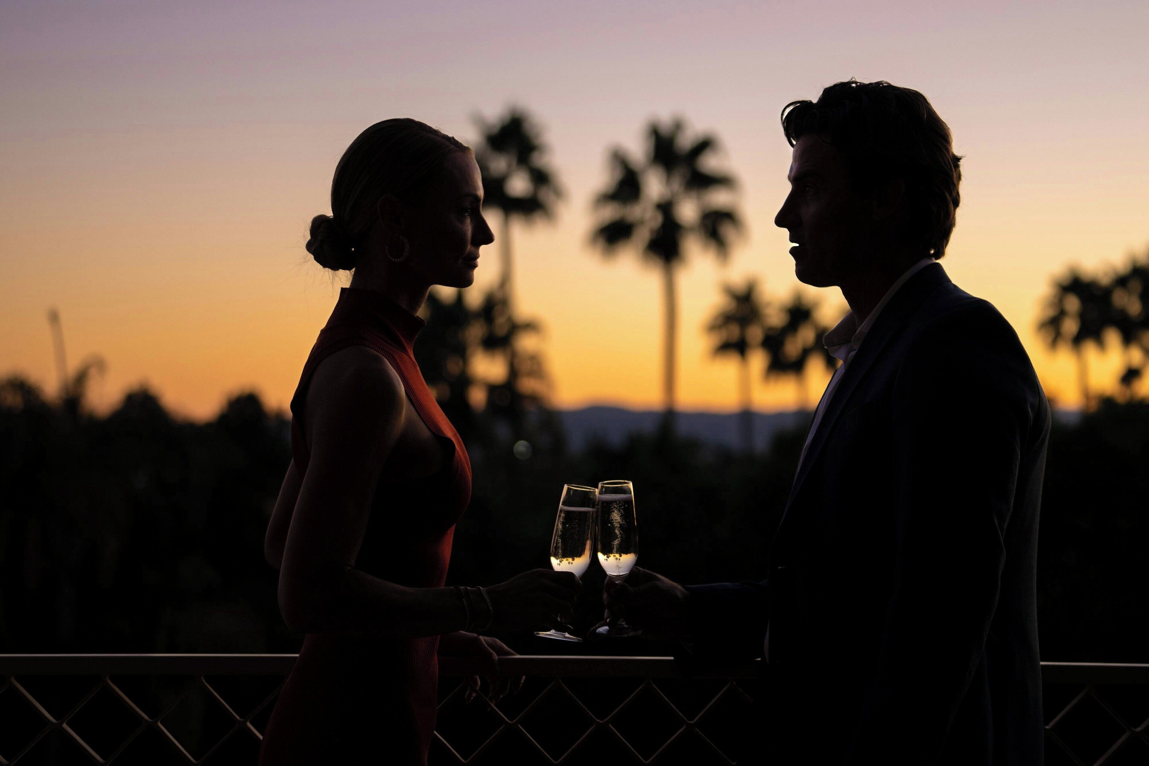 Silueta de una pareja sosteniendo copas contra un fondo de atardecer con palmeras.