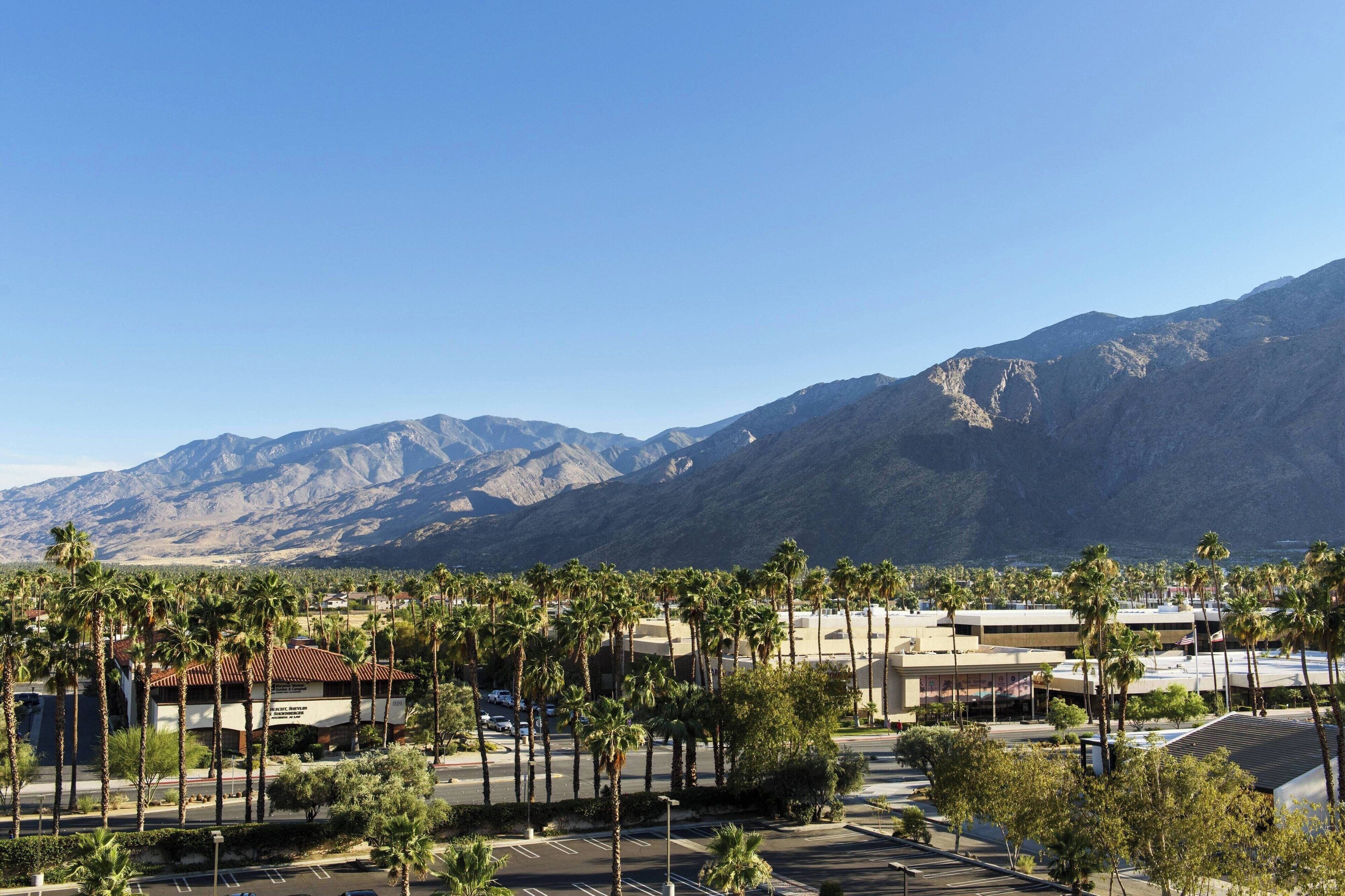 junior suite, 1 king bed with sofa bed, mountain view | premium bedding, down duvets, pillow-top beds, in-room safe