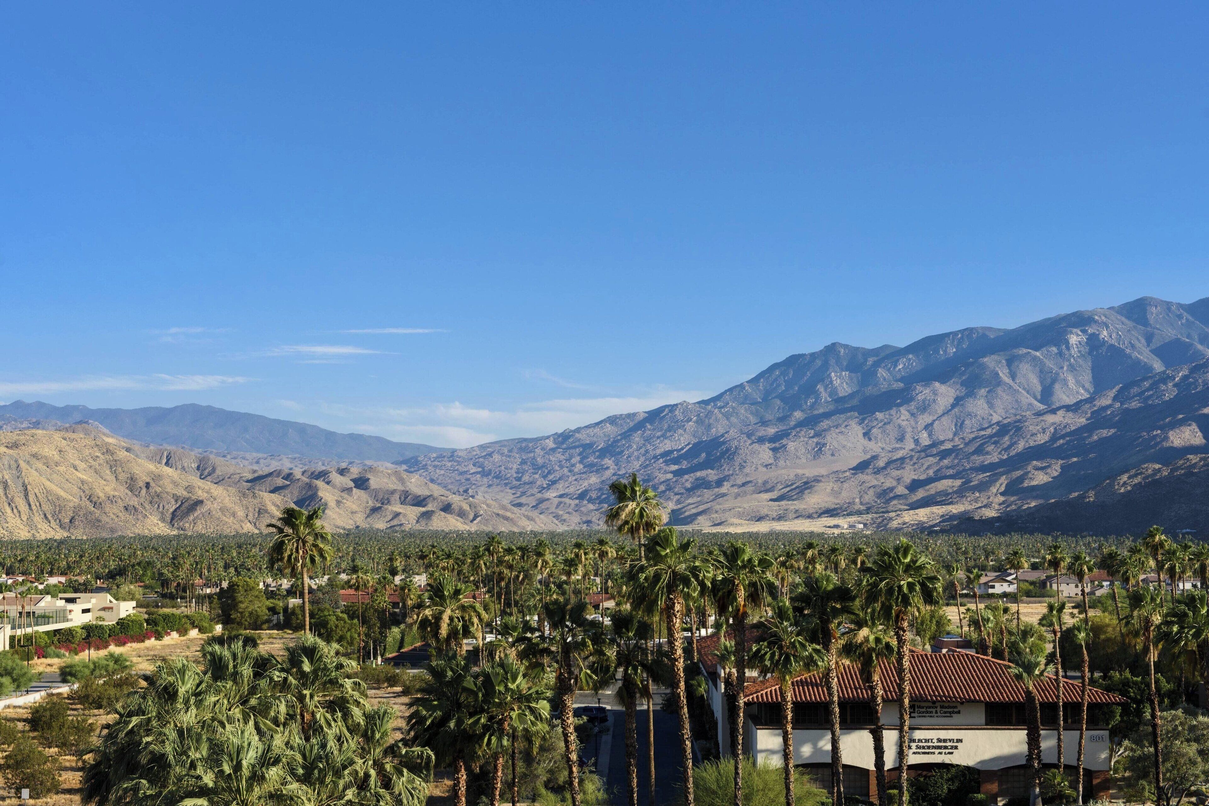 junior suite, 1 king bed with sofa bed, mountain view | premium bedding, down duvets, pillow-top beds, in-room safe