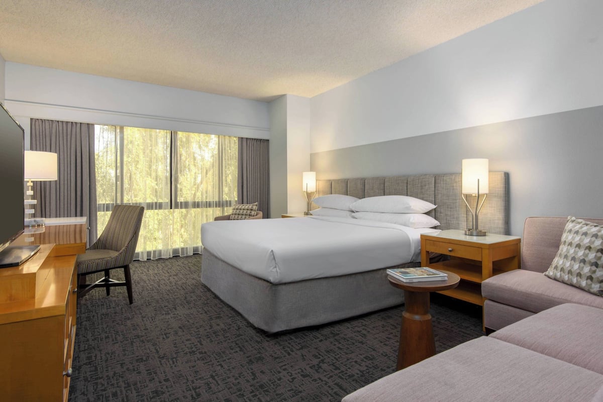 A hotel room with a large bed, a desk, a chair, a sofa, and a TV.