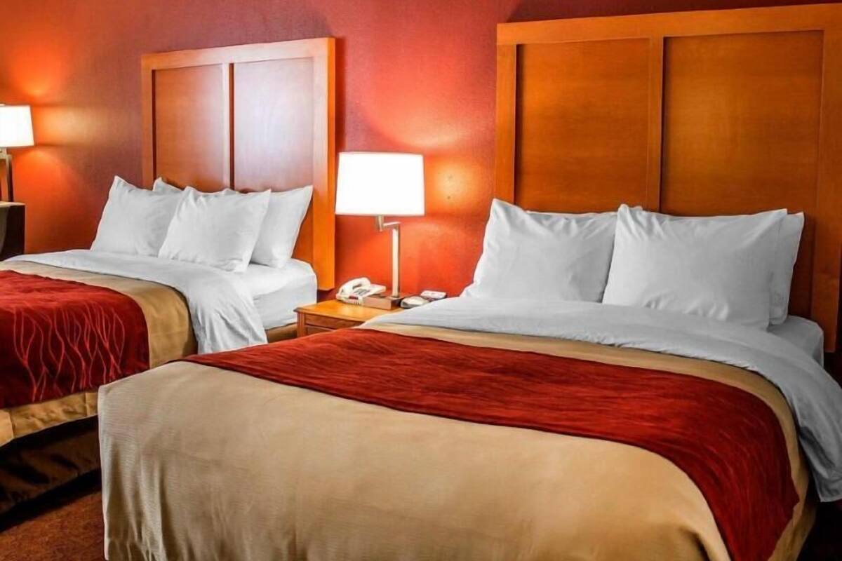 Habitación de hotel con dos camas, cada una con ropa de cama blanca y mantas rojas. Entre las camas, una mesita de noche con lámpara y teléfono.