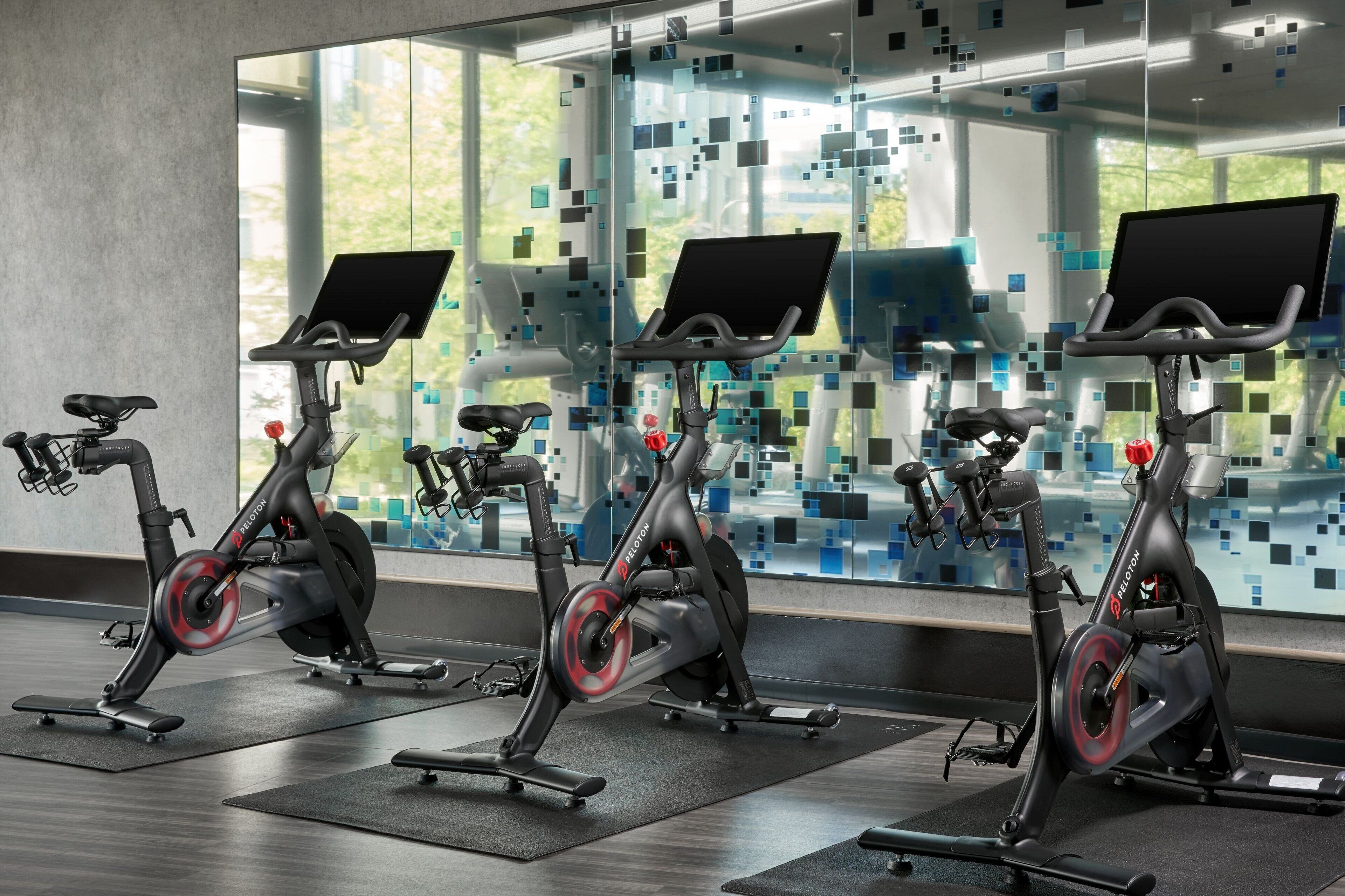 Three stationary bikes in a gym with large windows and a view of greenery outside.
