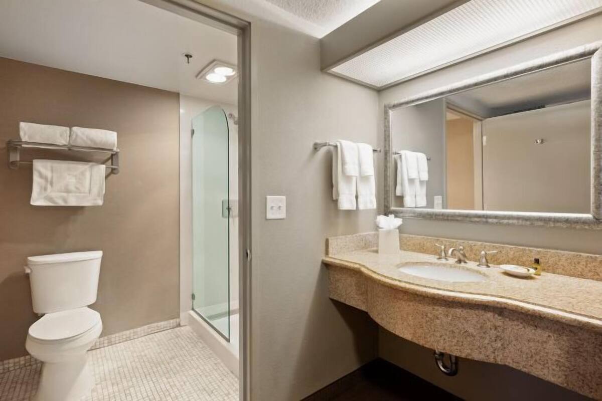 Free toiletries, hair dryer, towels