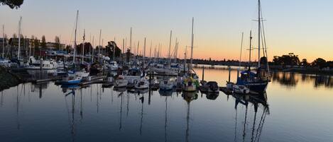 A marina with multiple boats docked at calm water during sunset.
