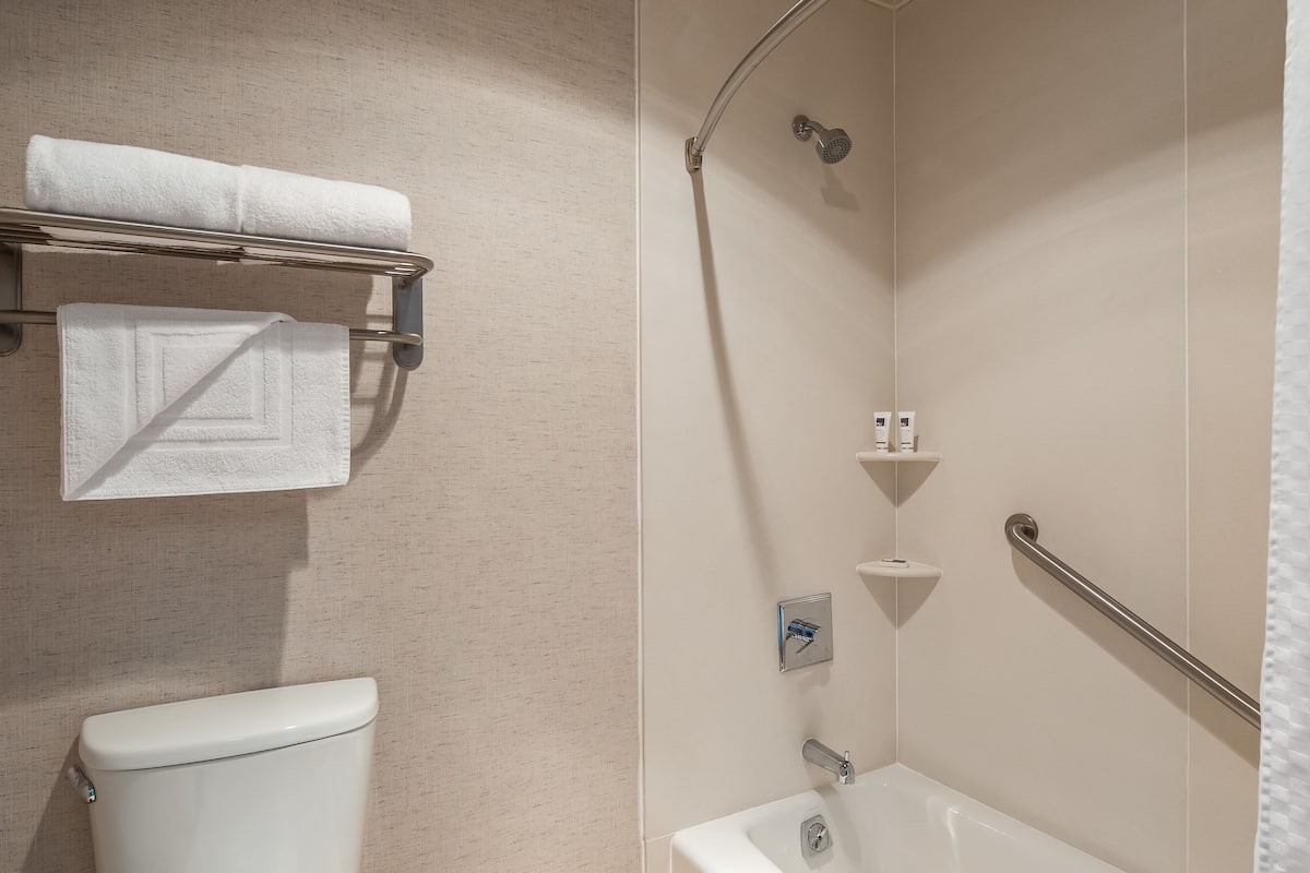 free toiletries, hair dryer, towels