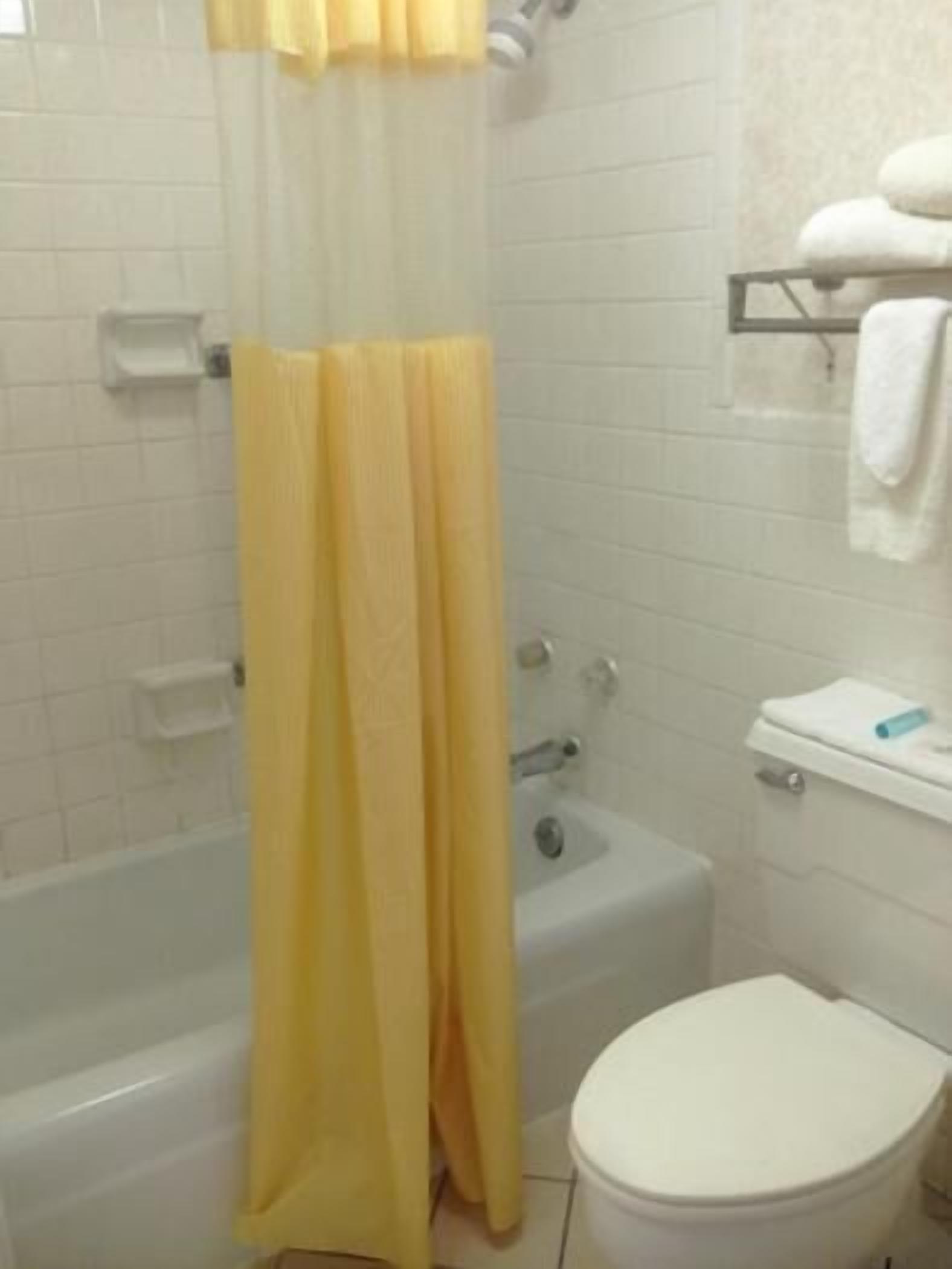 Un baño con bañera, cortina de ducha, inodoro y lavabo.