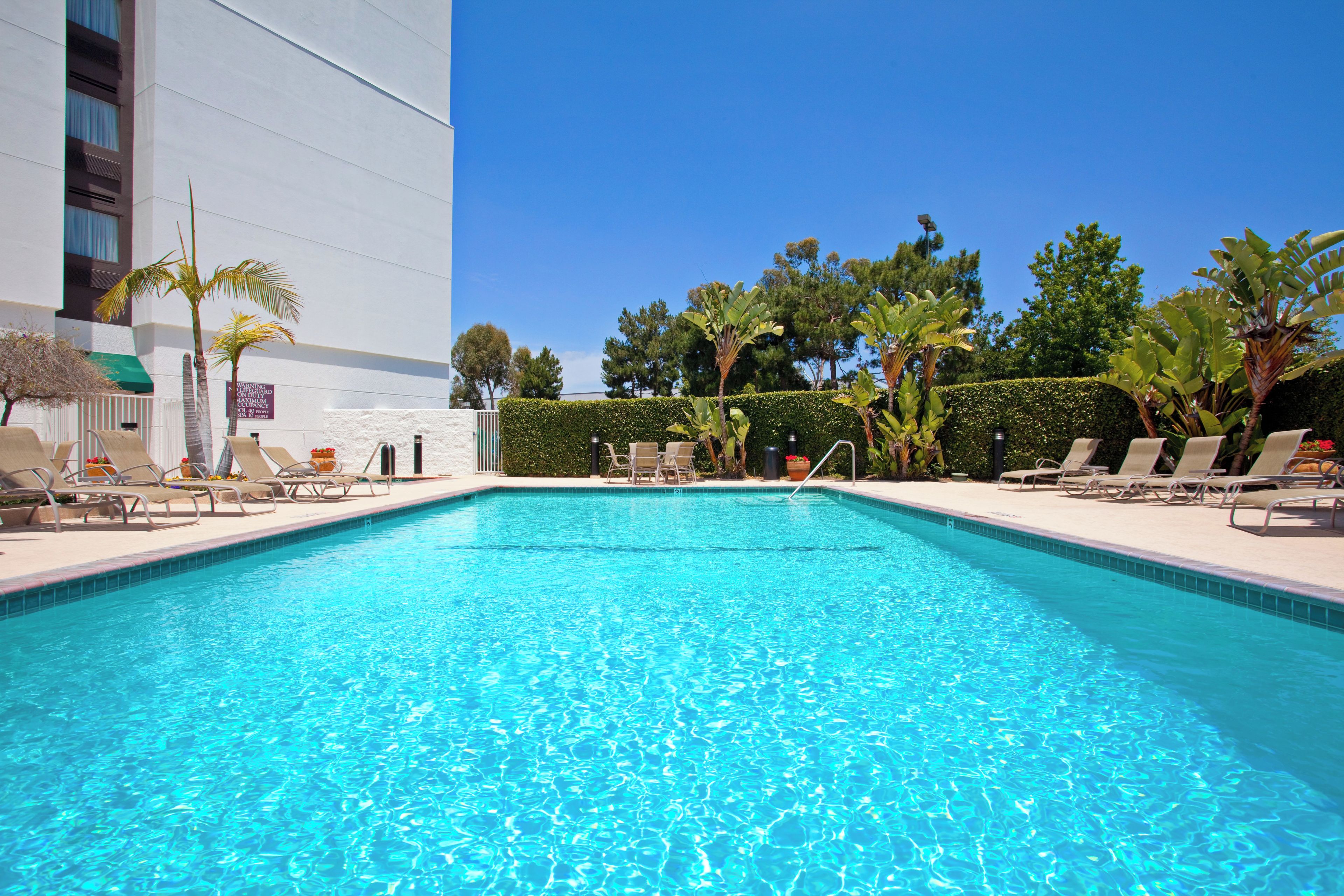 Outdoor pool, open 9:00 AM to 9:00 PM, sun loungers