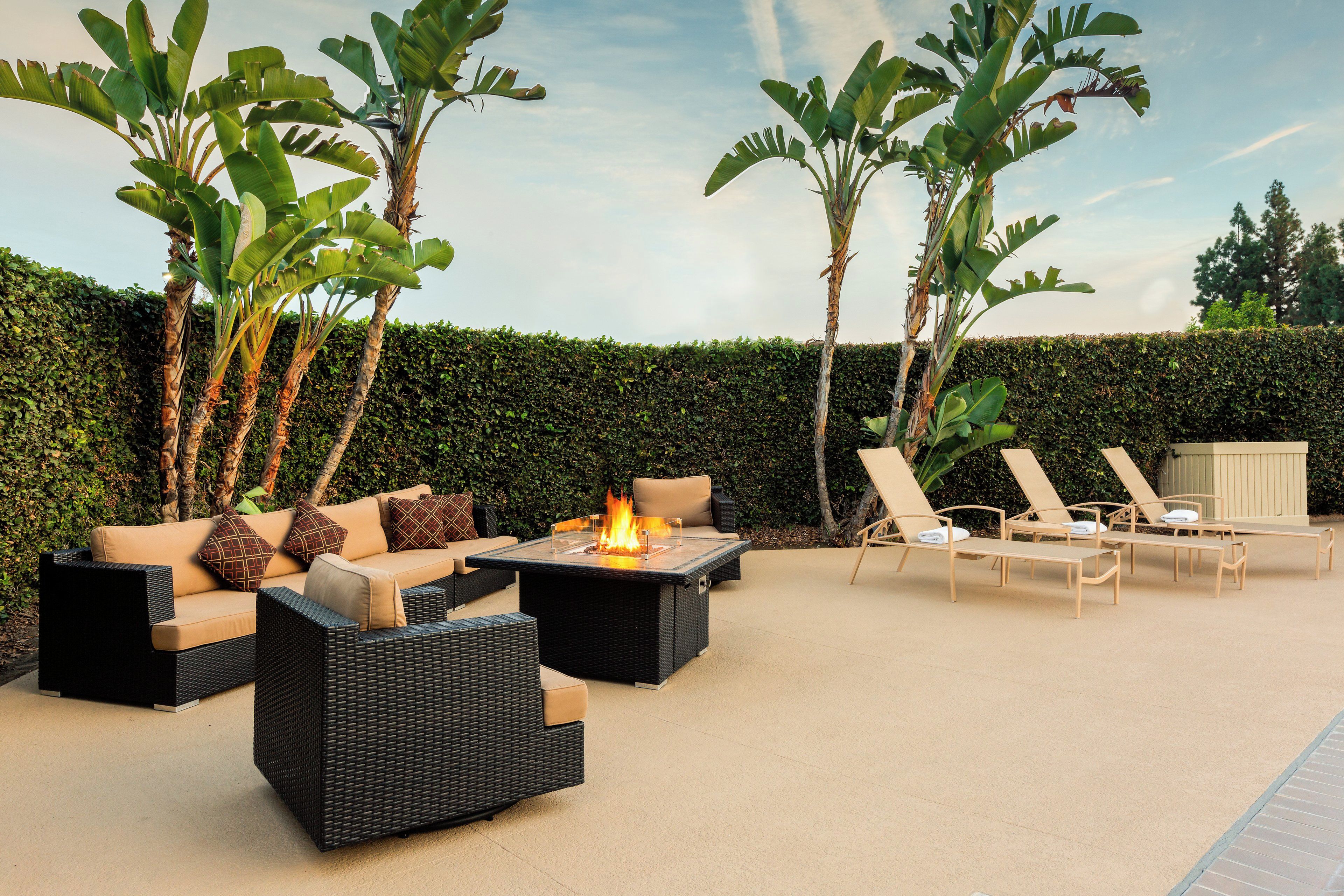 An outdoor seating area with a fire feature, lounge chairs, and a hedge backdrop.