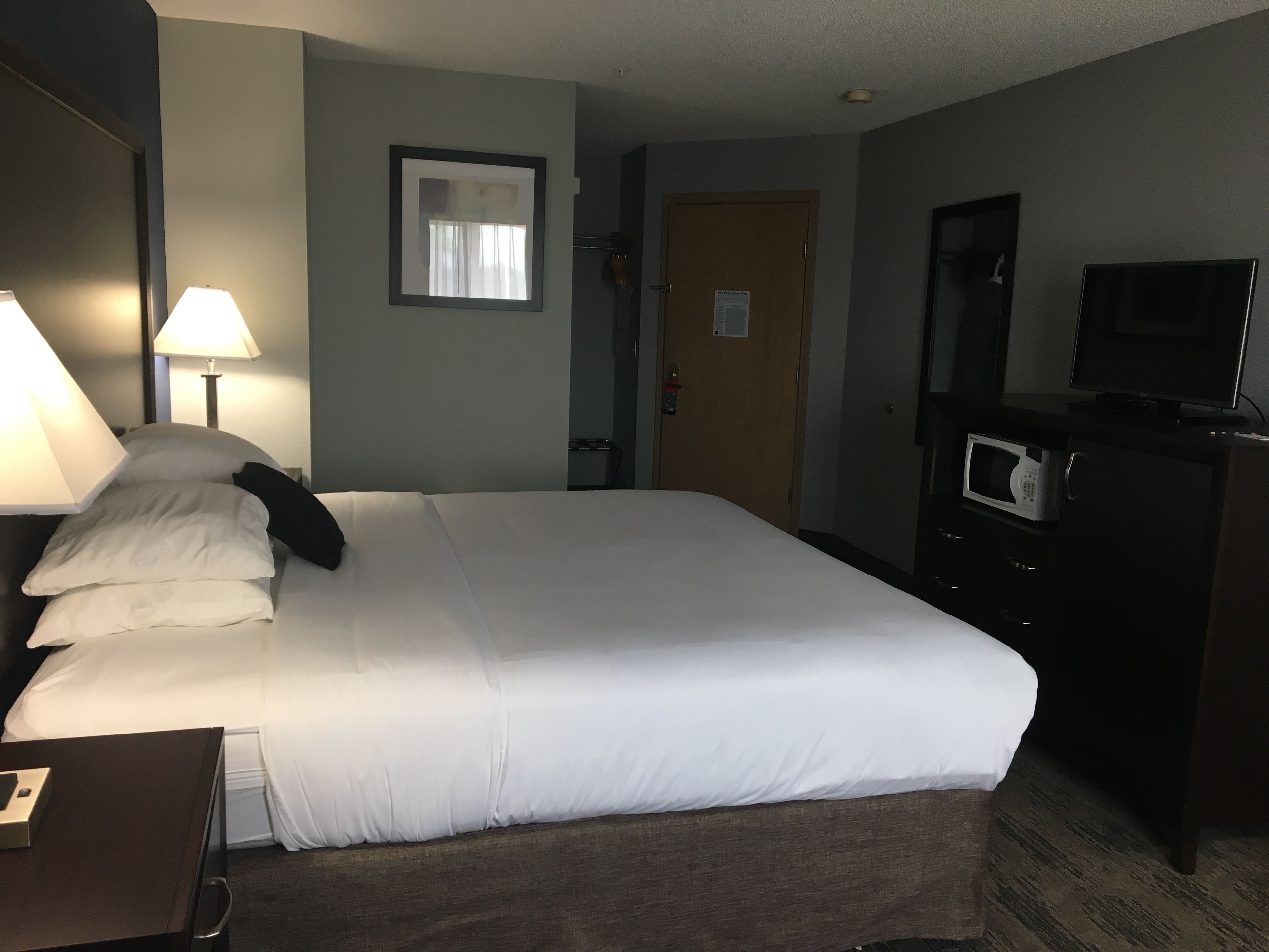A hotel room with a large bed, bedside lamps, a television, a microwave, and a door with a notice.